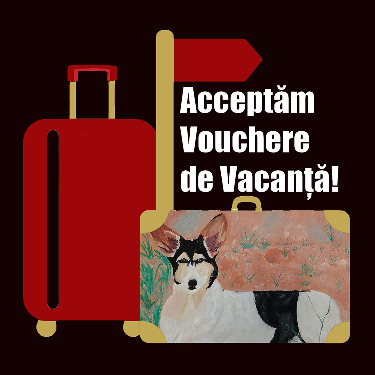 Acceptam Vouchere de Vacanta